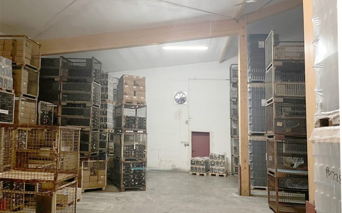 ideal zur Fortführung eines bestehenden Weinbaubetriebs