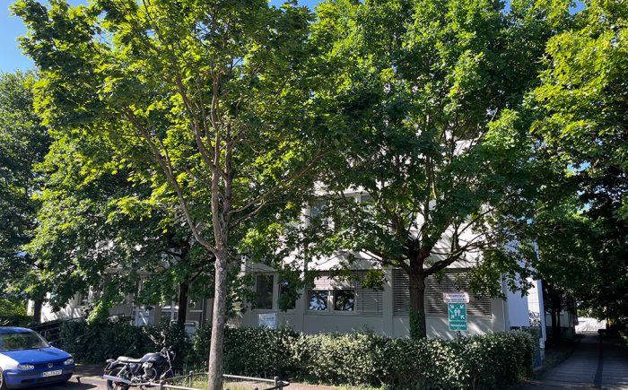 Renditestarke Gewerbeimmobilie im Rhein-Main-Gebiet – Mainz-Kastel kaufen